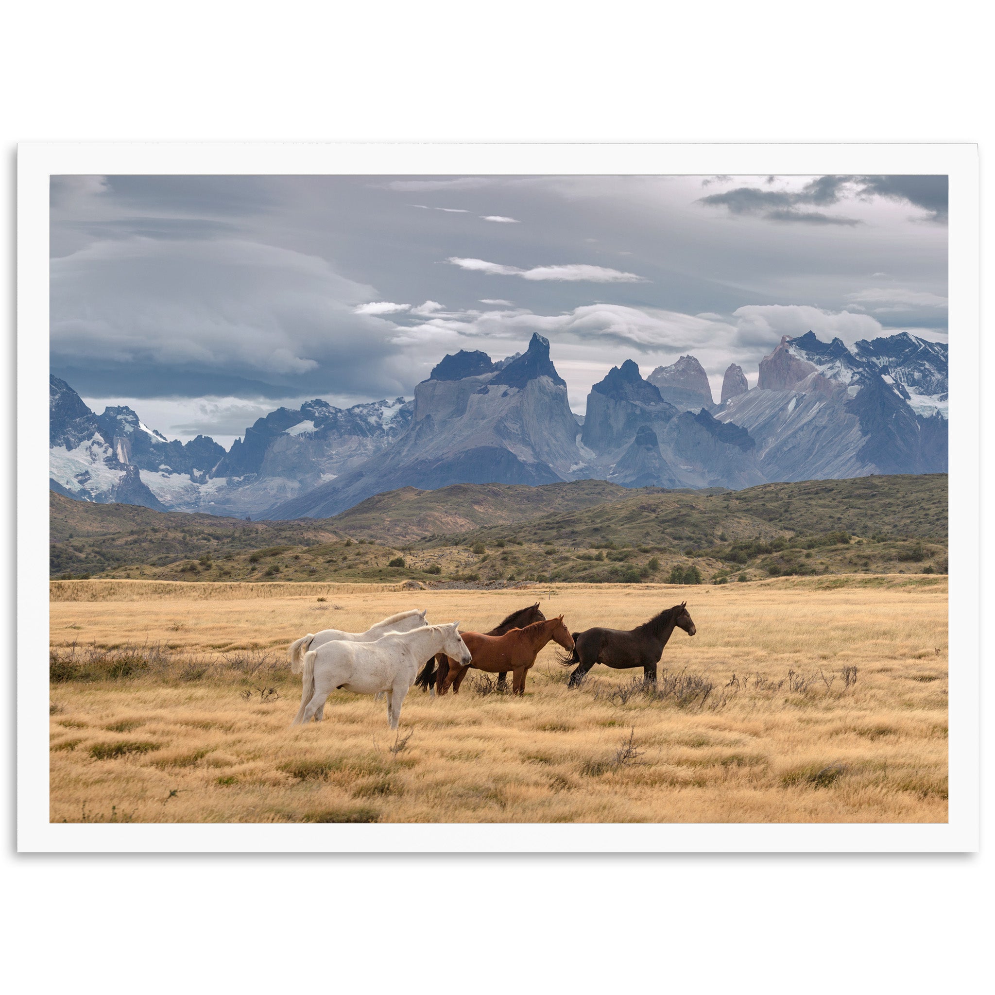 Wild Patagonia - Shutter and Frame