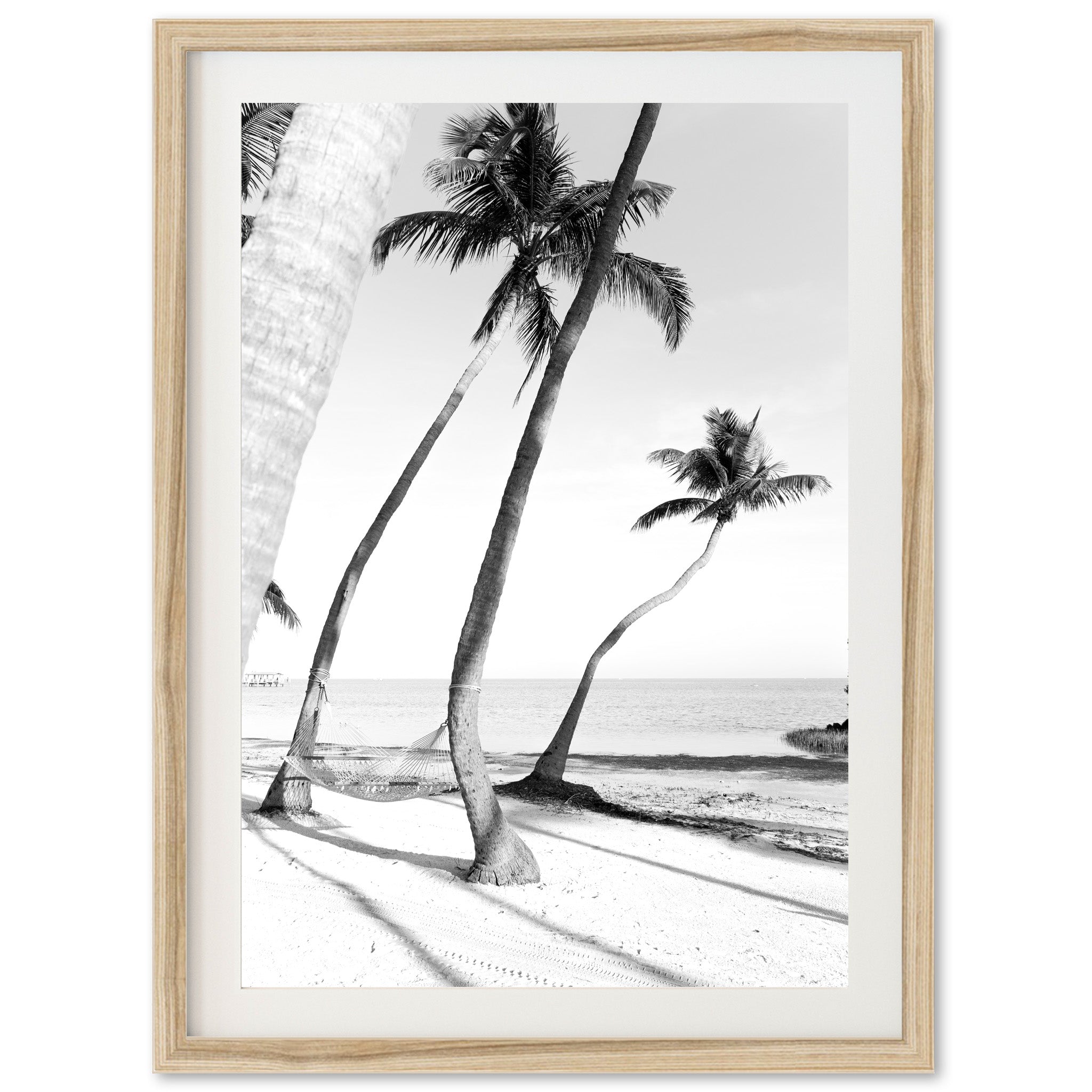 Hammock - Shutter and Frame