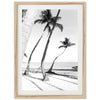 Hammock - Shutter and Frame