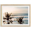 Indo Swell - Shutter and Frame