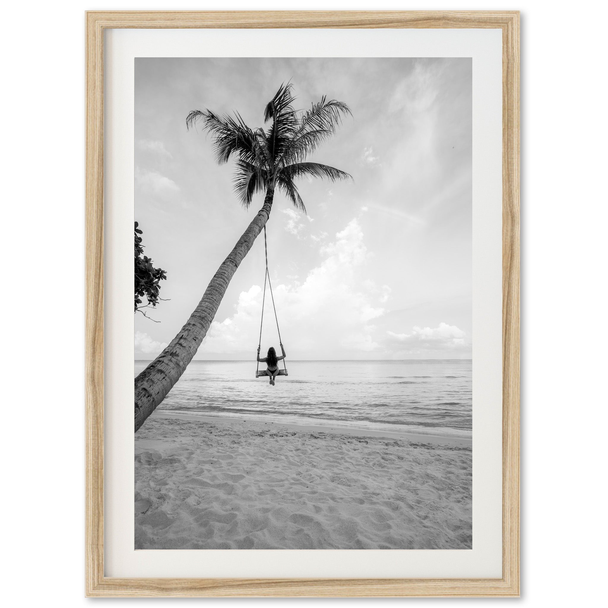 Palm Swing II - Shutter and Frame