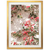 Bougainvillea - Shutter and Frame
