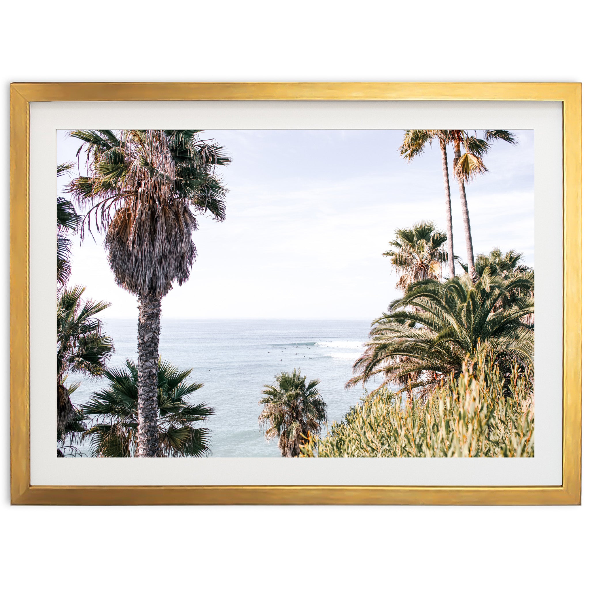 Swamis - Shutter and Frame