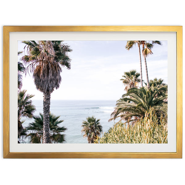 Swamis - Shutter and Frame