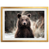 Bear - Shutter and Frame
