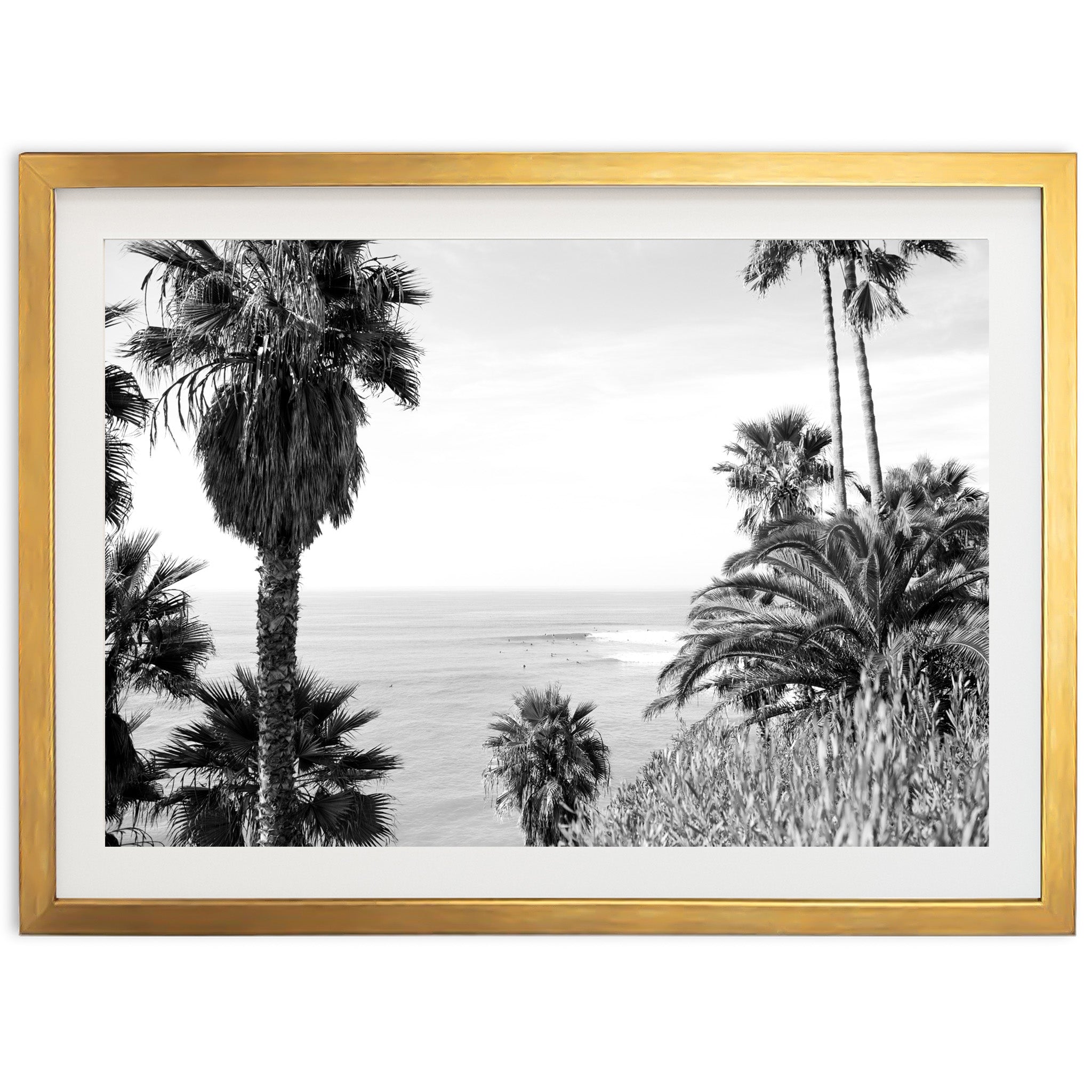 Swamis II - Shutter and Frame