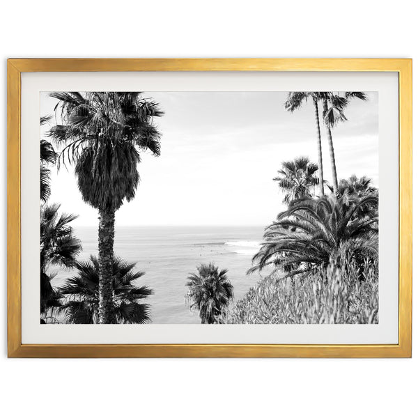 Swamis II - Shutter and Frame