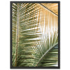 Shades of Green - Shutter and Frame