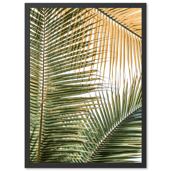 Shades of Green - Shutter and Frame