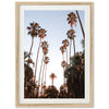 Beverly Hills - Shutter and Frame