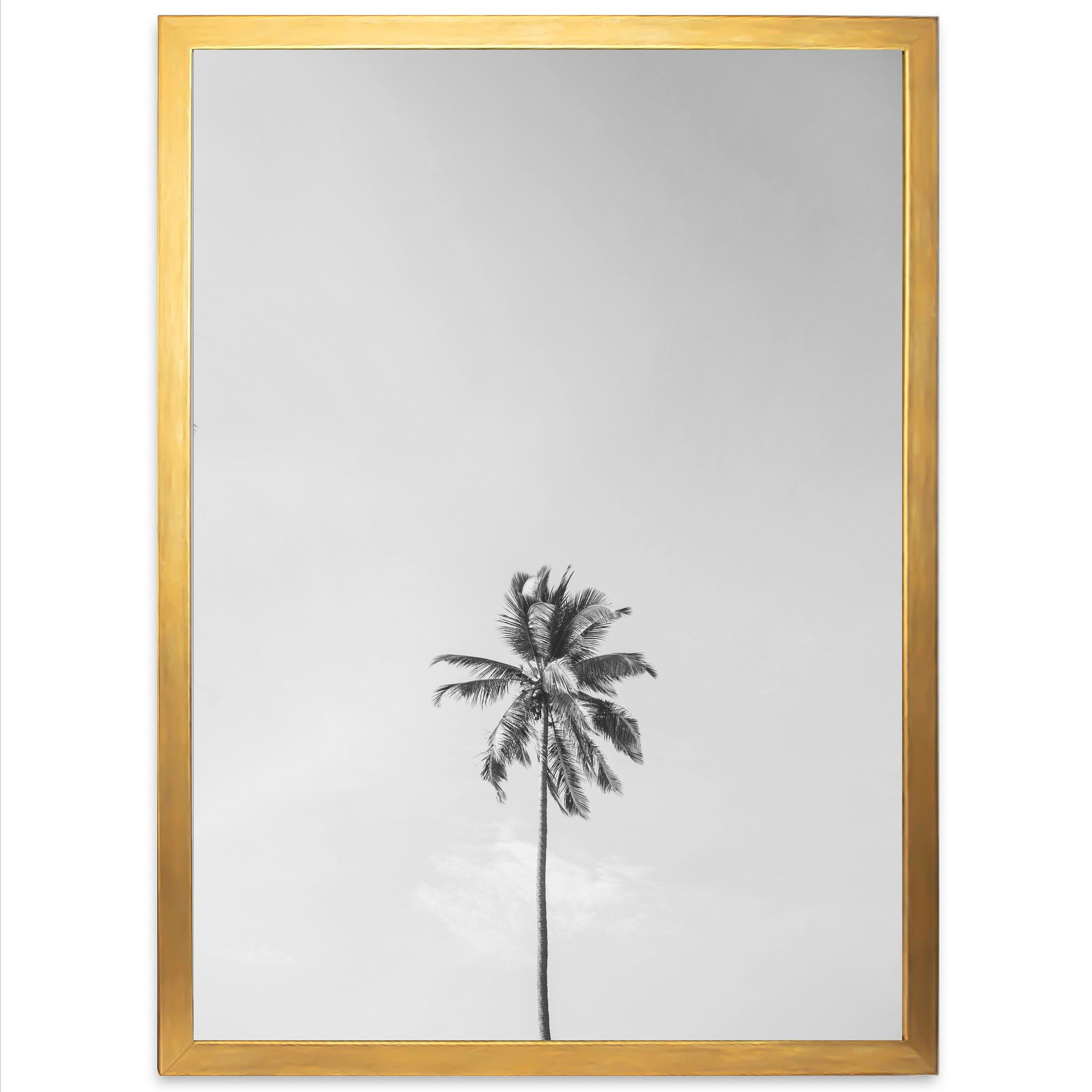 One Palm - Shutter and Frame