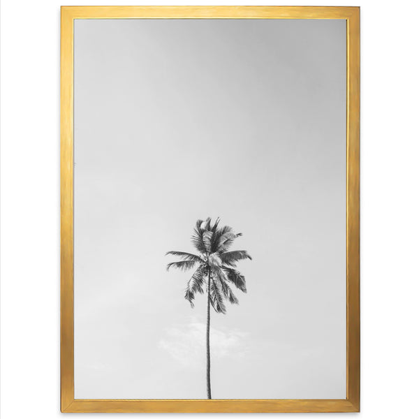 One Palm - Shutter and Frame