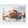 Splash - Shutter and Frame