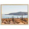 La Paz - Shutter and Frame
