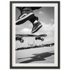 Ollie - Shutter and Frame