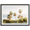 Destination - Shutter and Frame