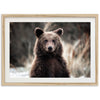 Bear - Shutter and Frame