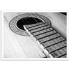Strings - Shutter and Frame