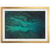 Through the Reef - Shutter and Frame