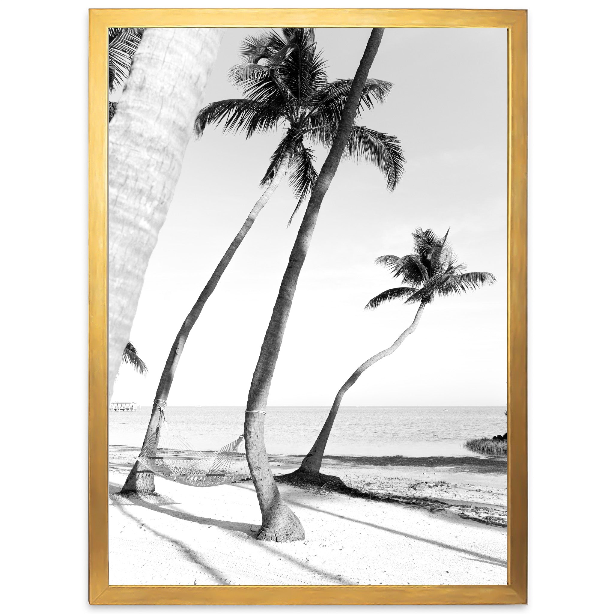 Hammock - Shutter and Frame