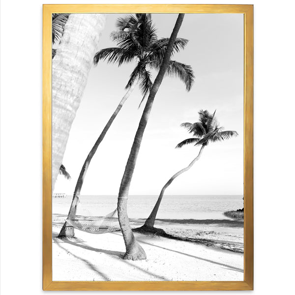 Hammock - Shutter and Frame
