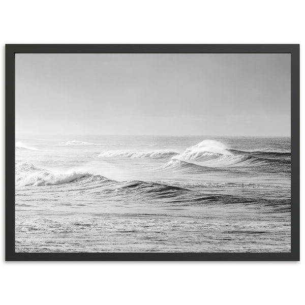 Windswell II - Shutter and Frame