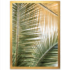 Shades of Green - Shutter and Frame