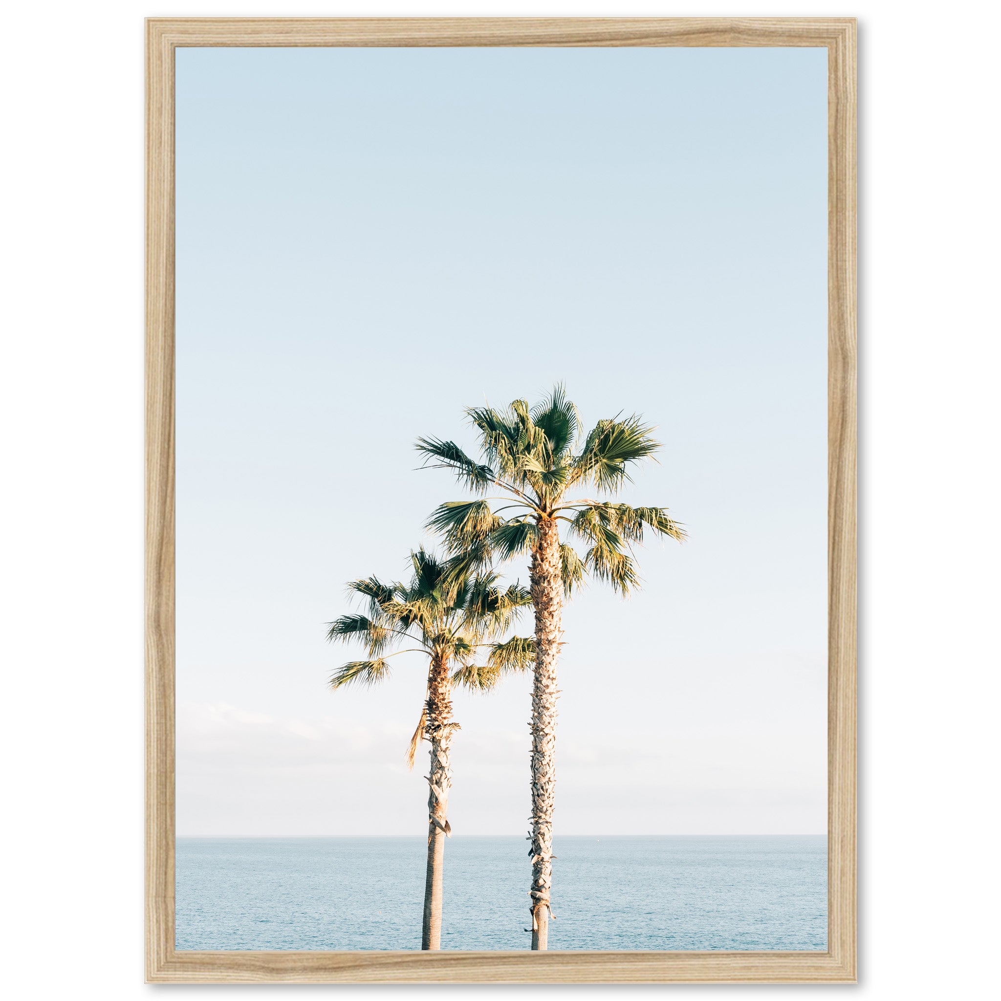 Ocean Palms - Shutter and Frame