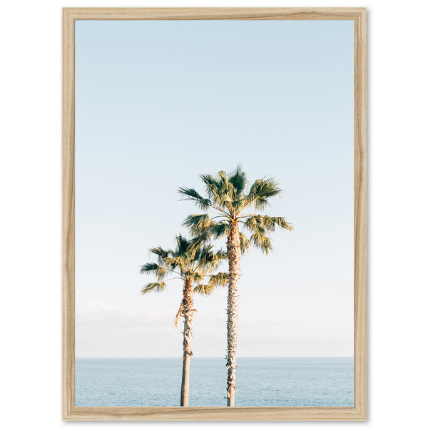 Ocean Palms - Shutter and Frame