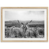 Highland Cow - Shutter and Frame