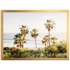 Destination - Shutter and Frame