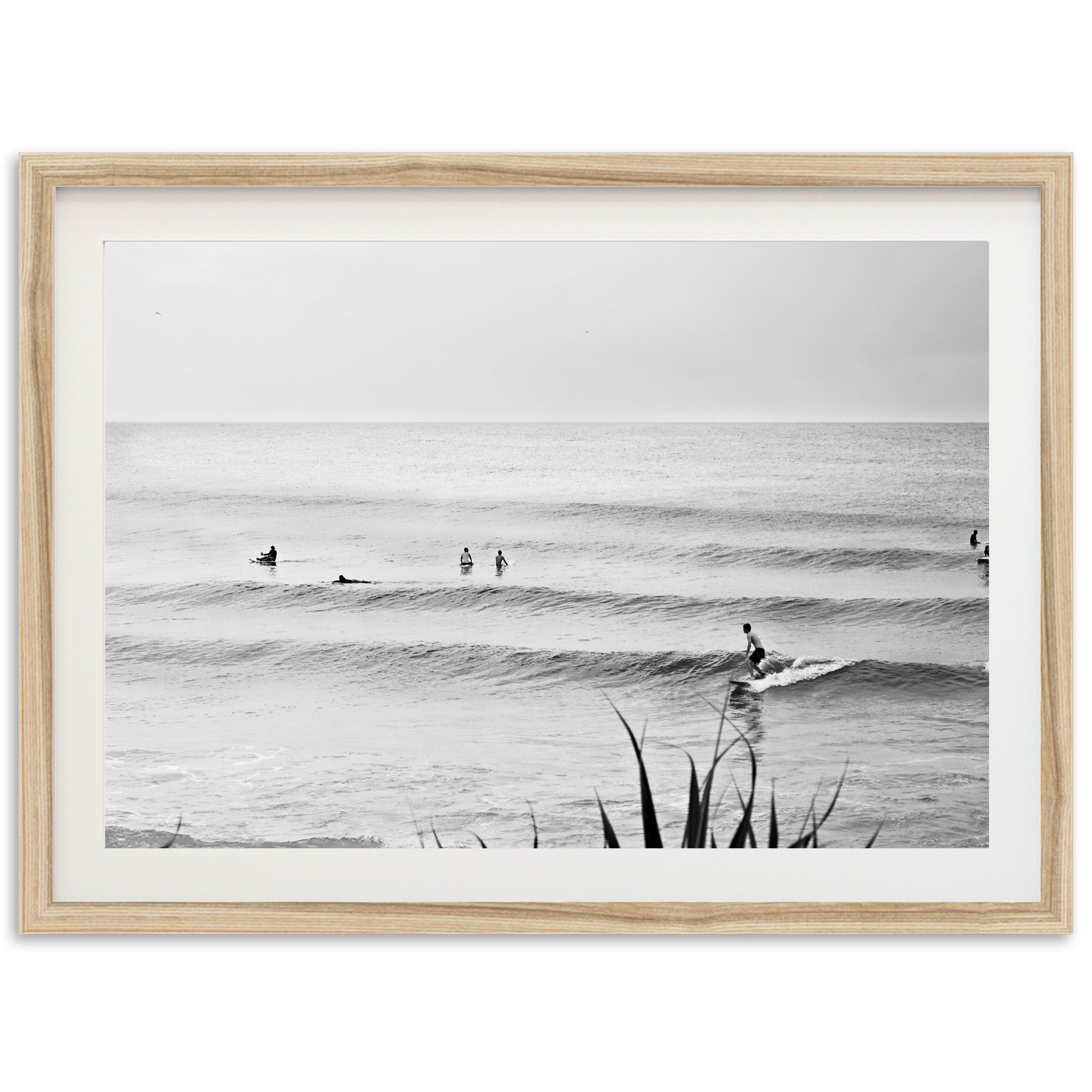 Endless Summer - Shutter and Frame