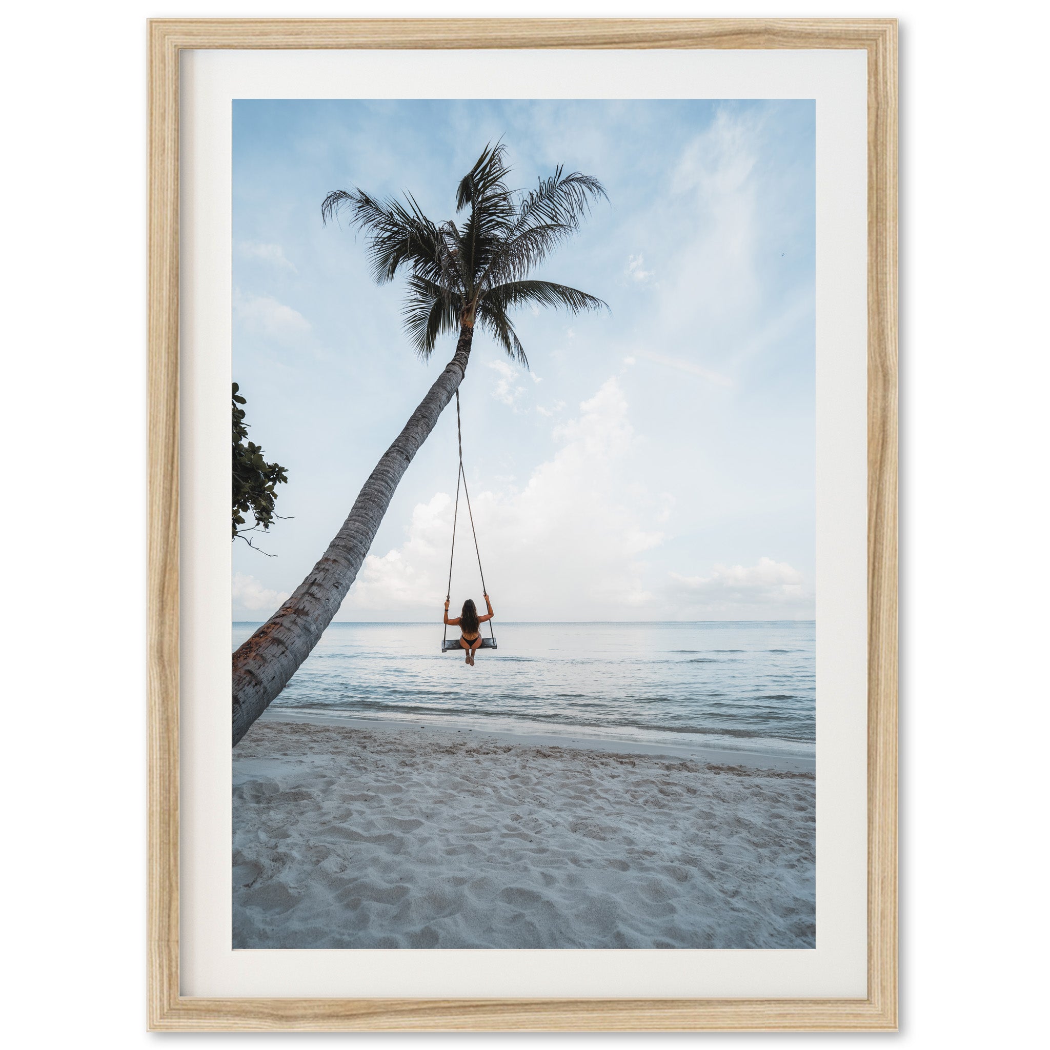 Palm Swing - Shutter and Frame