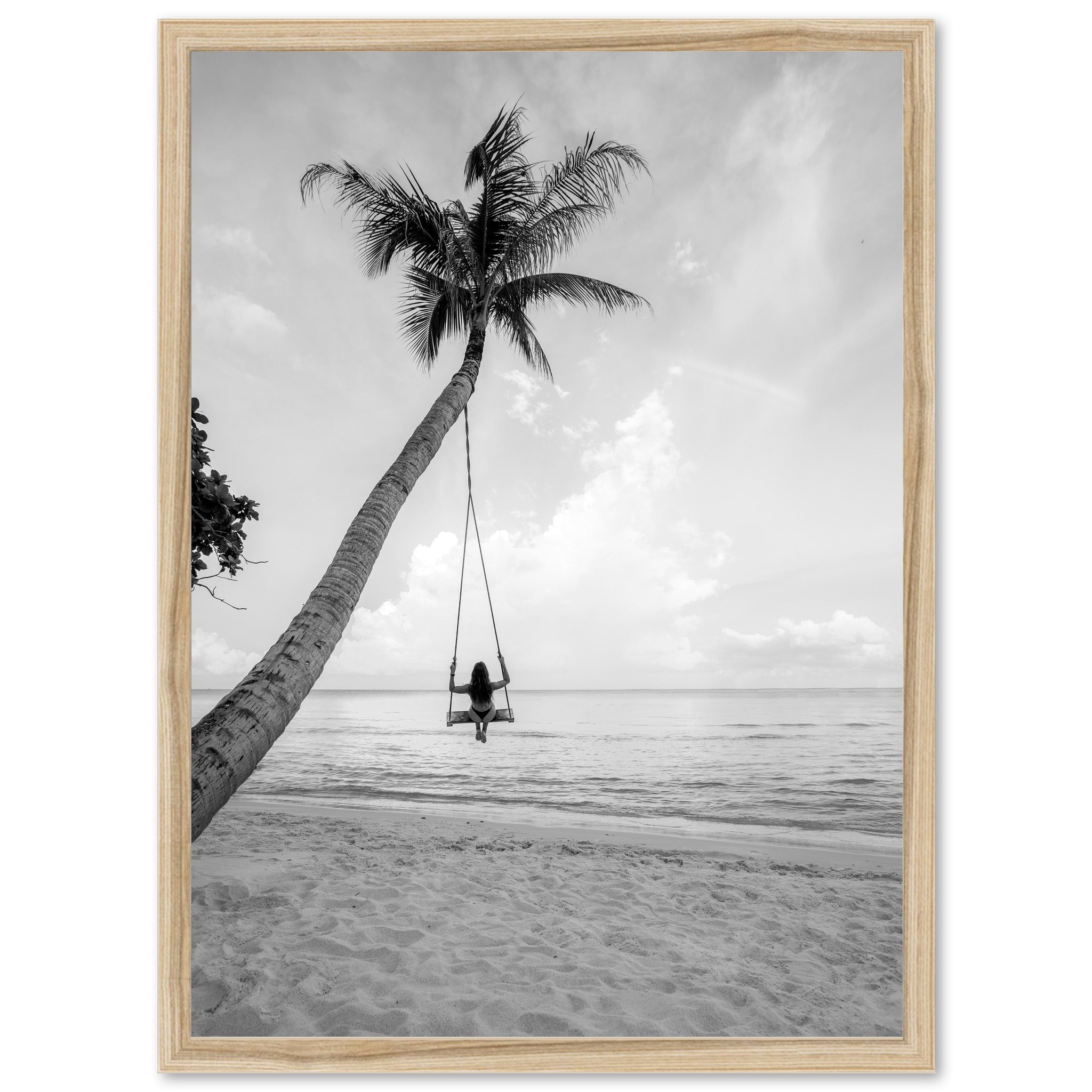 Palm Swing II - Shutter and Frame