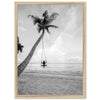 Palm Swing II - Shutter and Frame