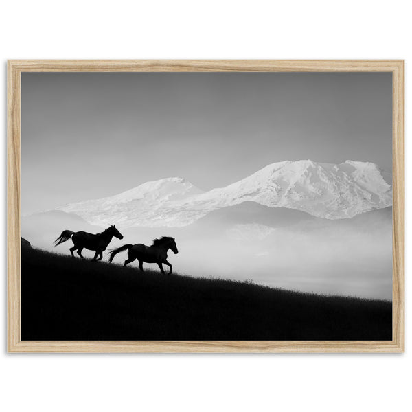 Mountain Spirit - Shutter and Frame