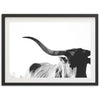 Longhorn - Shutter and Frame