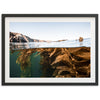 Kelp Forest - Shutter and Frame