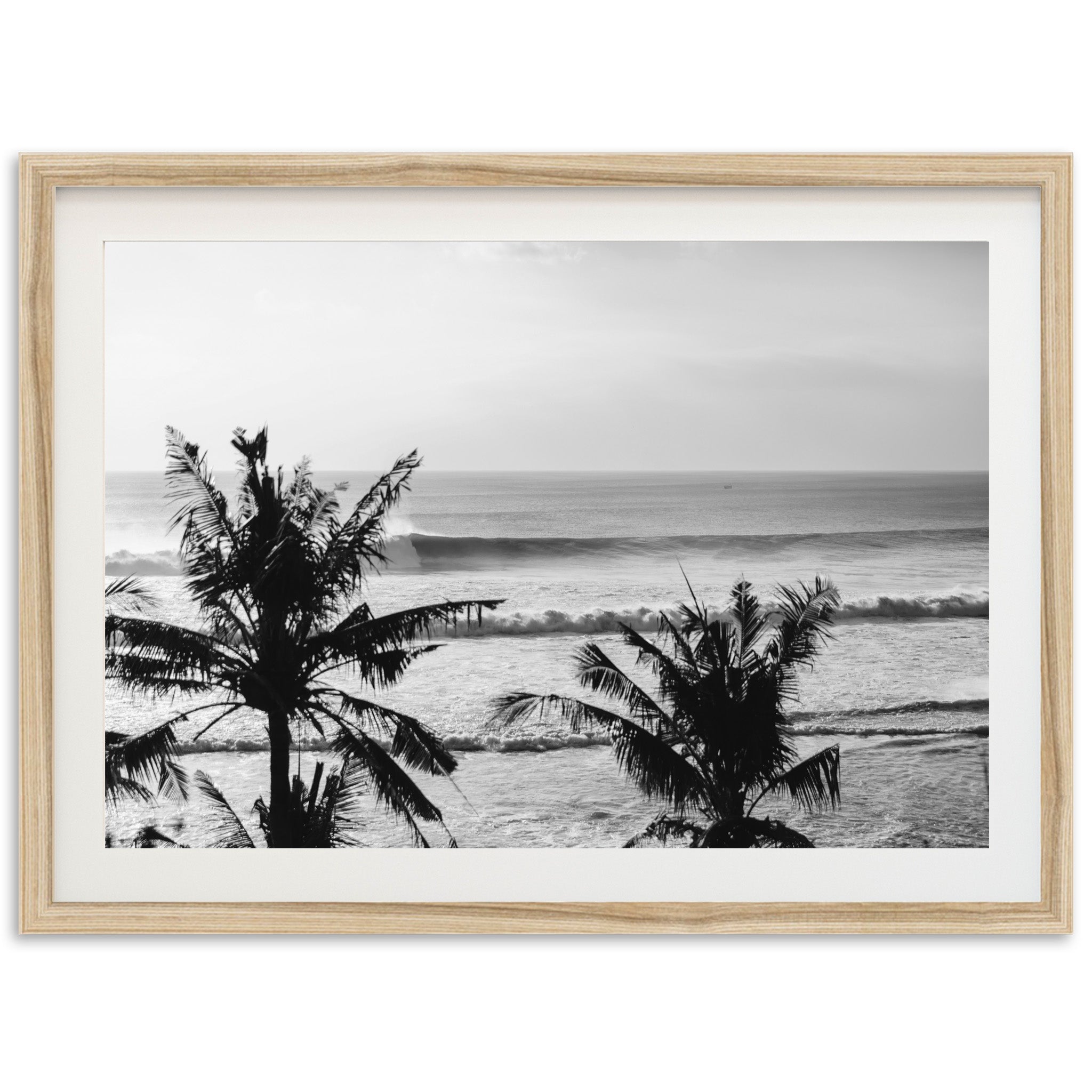 Indo Swell II - Shutter and Frame