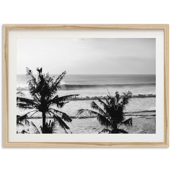Indo Swell II - Shutter and Frame