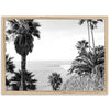 Swamis II - Shutter and Frame