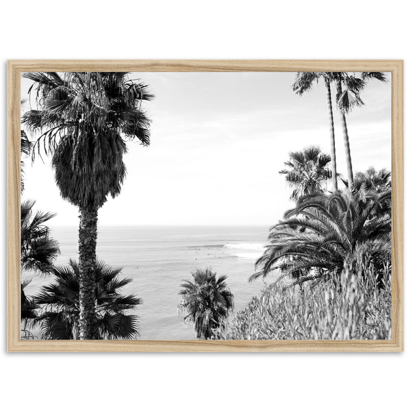 Swamis II - Shutter and Frame