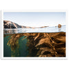 Kelp Forest - Shutter and Frame