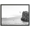 Jump for Joy - Shutter and Frame