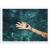 Sea Shell