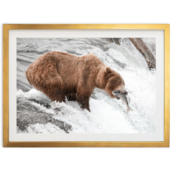 Wild Catch