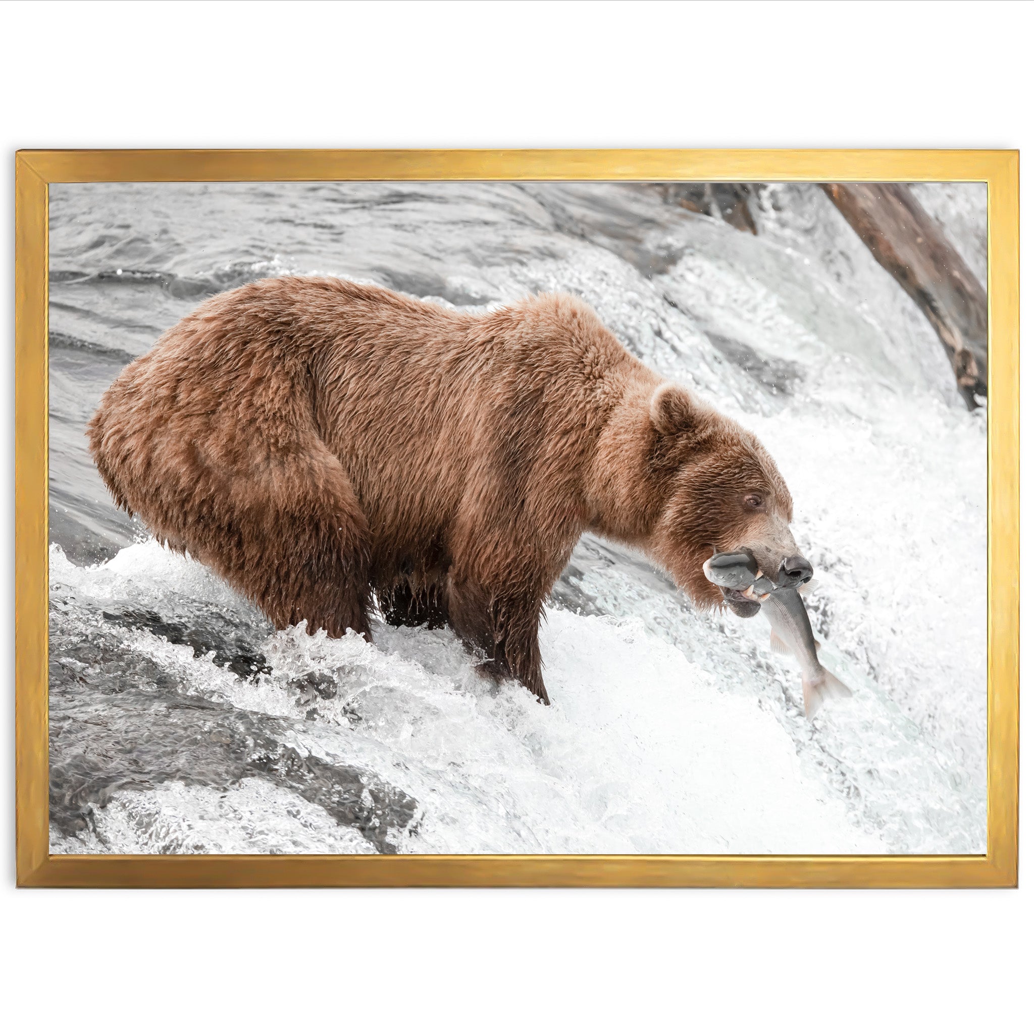 Wild Catch