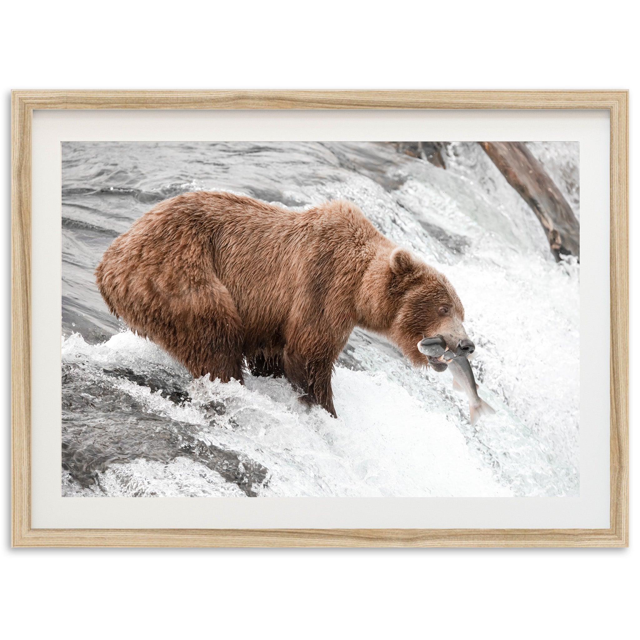 Wild Catch