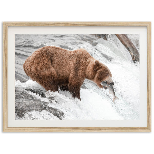 Wild Catch