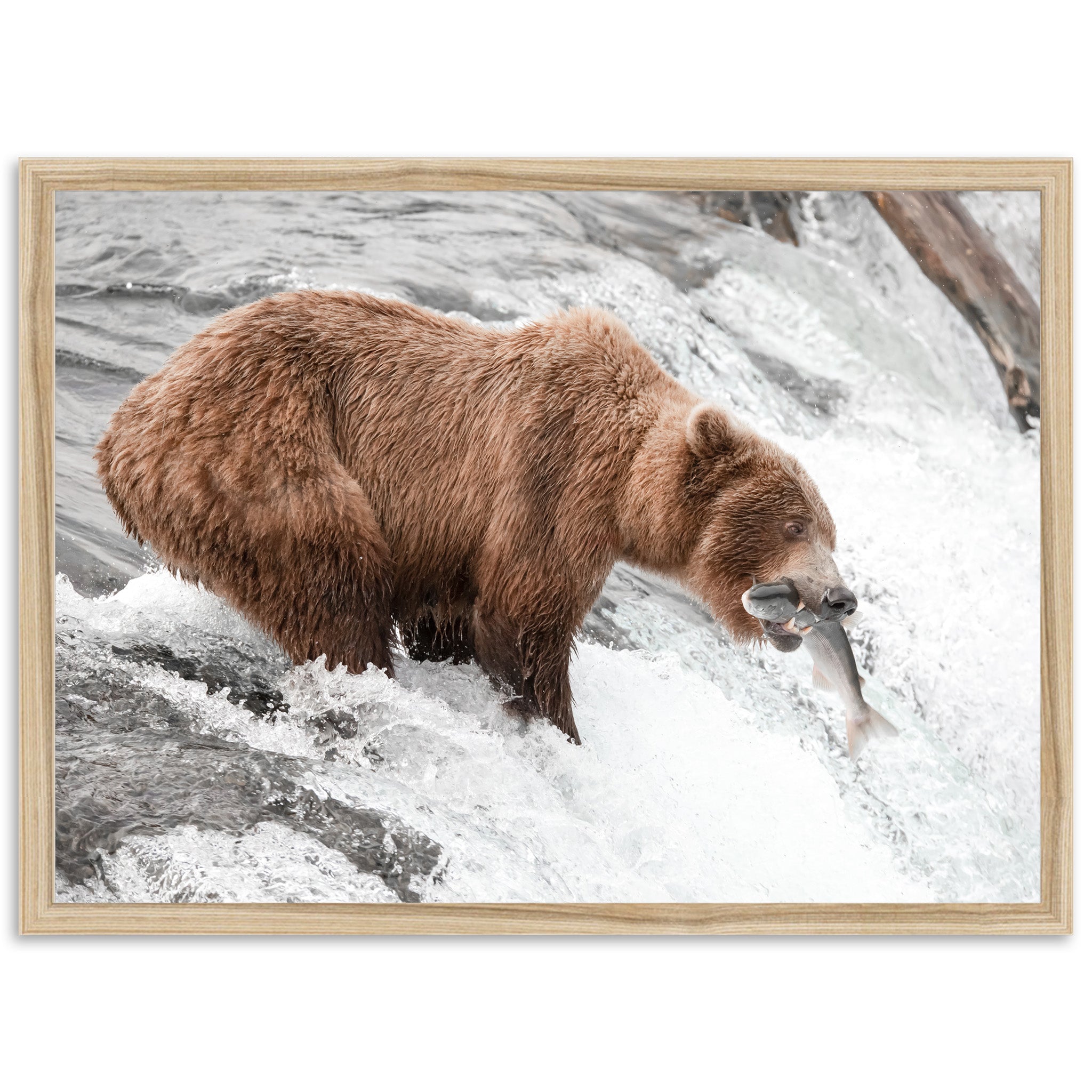 Wild Catch